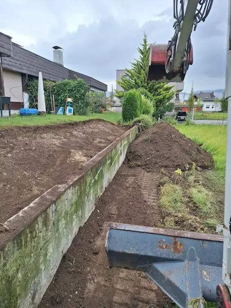 Rodungen, Gehölzen, Bäume, Sträucher, Schmid Erdbau, Hörbranz, Leiblachtal