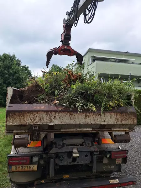 Rodungen, Gehölzen, Bäume, Sträucher, Schmid Erdbau, Hörbranz, Leiblachtal