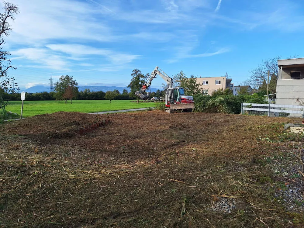 Bewuchsbefreiung mit unserem Bagger, Erdbau Leiblachtal, Schmid Erdbau