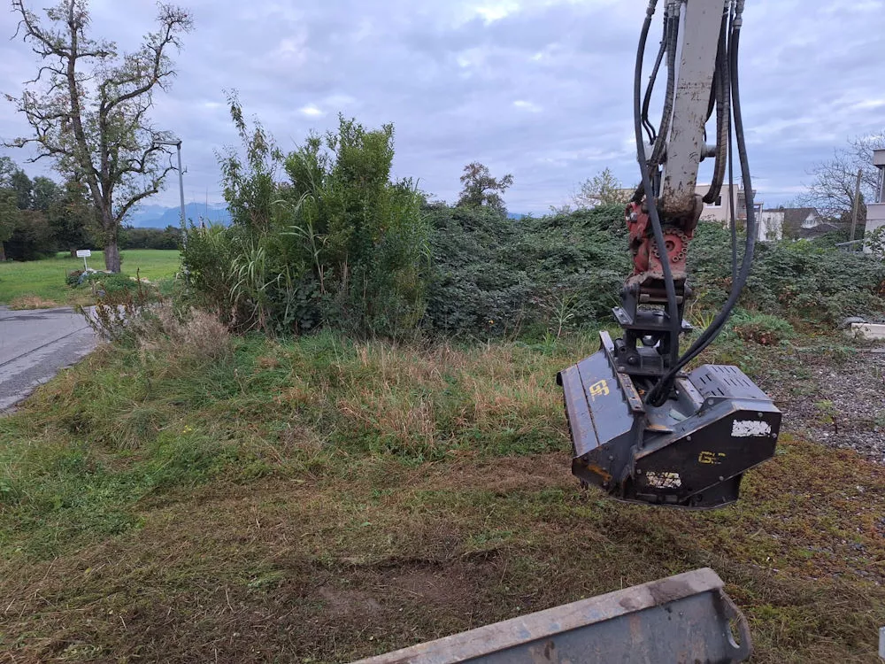 Bewuchsbefreiung mit unserem Bagger, Erdbau Leiblachtal, Schmid Erdbau