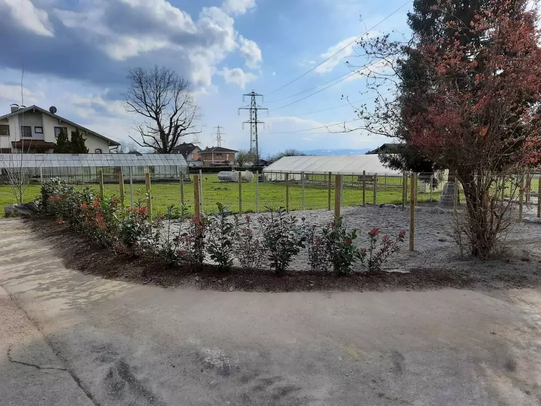 Schmid Erdbau, Gartengestaltung, Außenanlagen, Naturparadies, Hörbranz, Leiblachtal