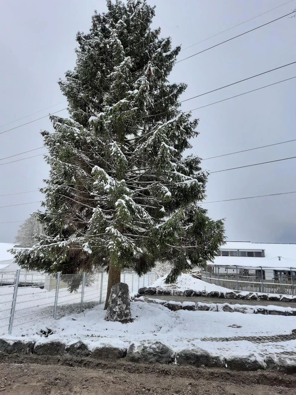 Aushubarbeiten, Aufschüttung, Erdbegungen im Leiblachtal, Schmid Erdbau