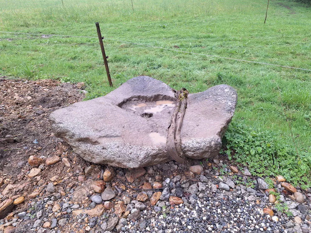 Quellstein seltener Stein für Bepflanzung geeignet, Schmid Erdbau, Erdbau Leiblachtal