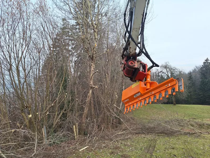 Rodungen, Gehölzen, Bäume, Sträucher, Schmid Erdbau, Hörbranz, Leiblachtal