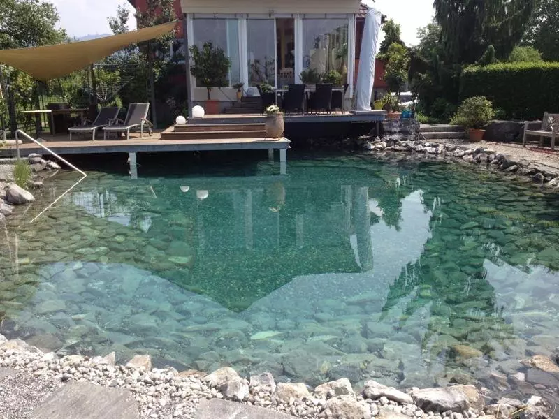 Schwimmteich und Naturpool im Leiblachtal, Schmid Erdbau Hörbranz